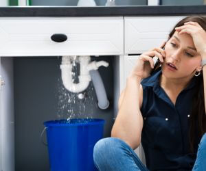 About Septic Pumping Service Arboles, CO